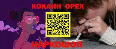 apvp Новодвинск
