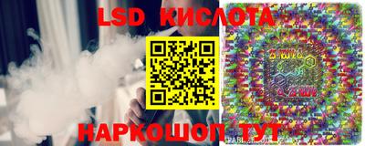 mdpv Новозыбков
