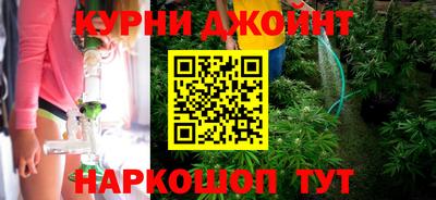 трава Новокубанск