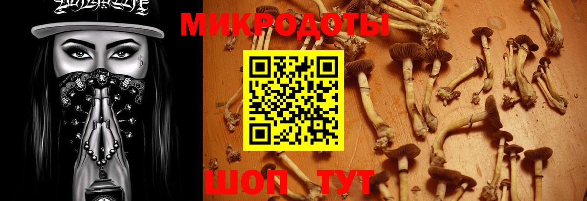Галлюциногенные грибы Psilocybine cubensis Улан-Удэ